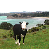 Shakespear_Park Shakespear_Park