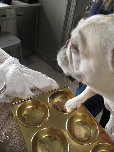 I'm giving it the white paw treatment!  LOL!!!