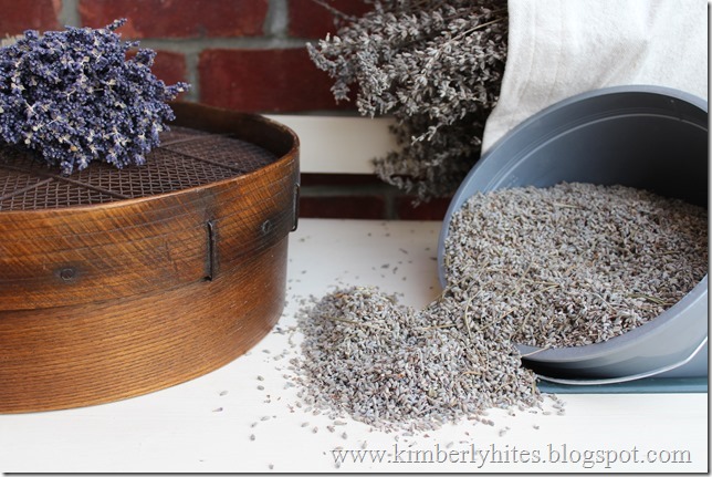 lavender_harvest (12) lavender_harvest (12)