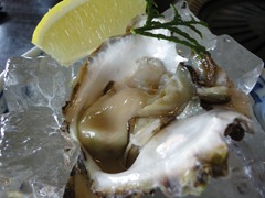 DSC08446 DSC08446