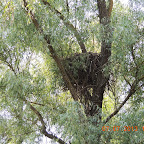 DSCN9679.JPG