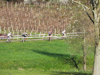DSCF7944.JPG