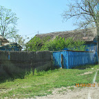 IMG_7217.JPG