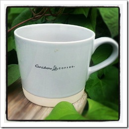 new cup