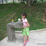 IMG_1393.JPG