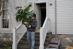Wilmer, please be careful with that black bat plant.  Martha recently acquired it and it's loaded with unusual flowers.