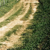 ecotrilhas%252525202011-18.jpg