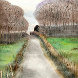 watercolour 9x12 inches, 15 Jan 2012