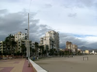 IMG_8386 IMG_8386