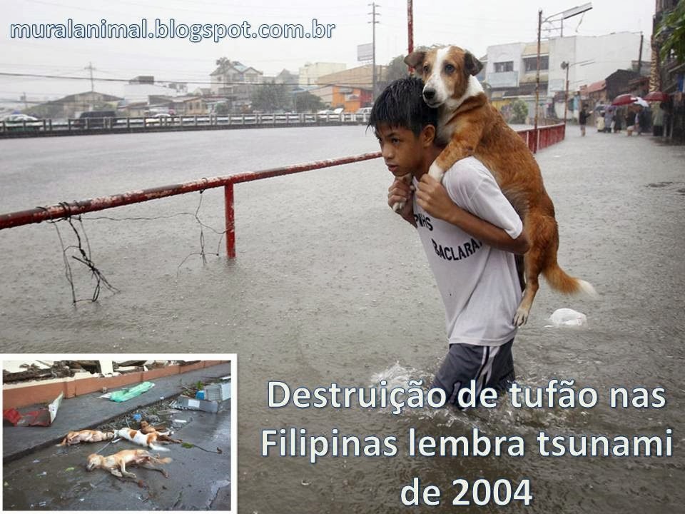 [filipinas%2520%25281%2529%255B3%255D.jpg]