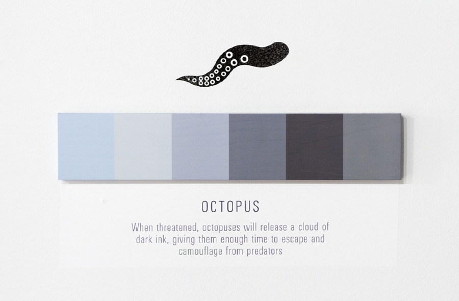 [Octopus12.jpg]