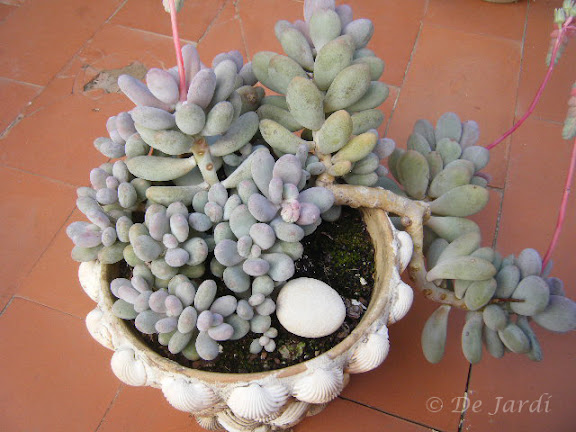 2013_02030020.jpg