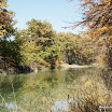 DSC02869.jpg
