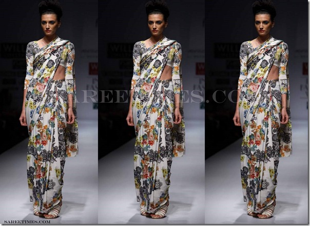 Mynah_Raynu_Taandon_Designer_Saree