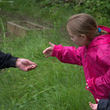 2011Gilwell - DSC_0174.jpg