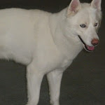 DSCN4549.jpg