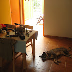 IMG_2167.JPG