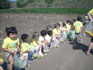 Waiting for the tractor!