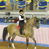 Mundial 2006 Kissimme