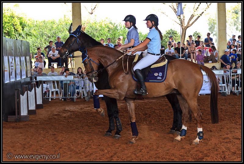 il/Фото: Stallion Show 2011 (20110416 stllion show 017 2038)