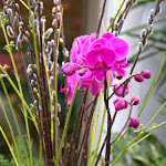 IMG_6200.jpg