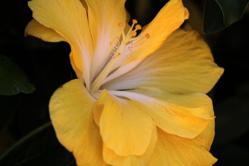 [IMG_1967%255B5%255D.jpg]