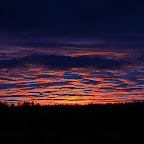 _MG_3256.jpg