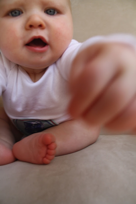 IMG_4543.jpg IMG 4543