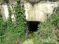 dsc06764.jpg