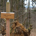 singold-bote_waldlehrpfad-schwabegg_033.jpg