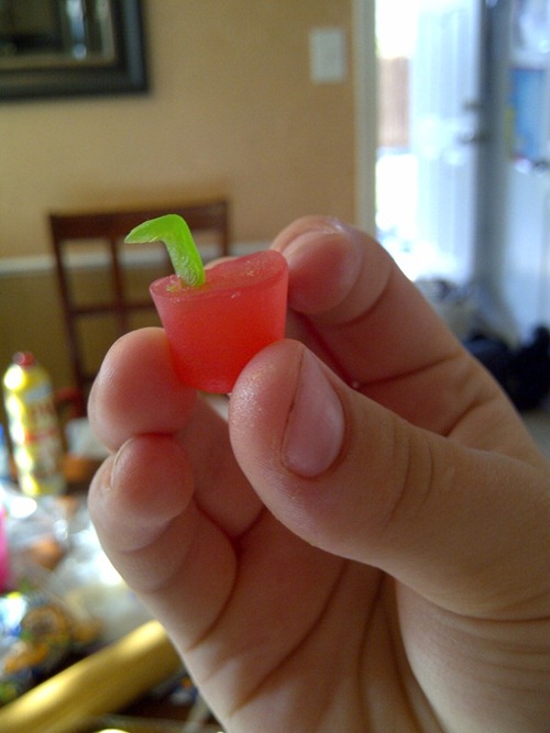 IMG-20120531-05916