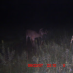 ICAM0074 (2).JPG