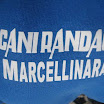 35489569d6.JPG