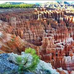 bryce bryce