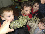 DSCF0290.JPG