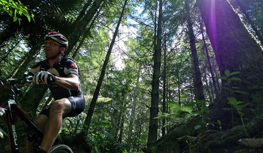 Rotorua-Mountain-Biking-3