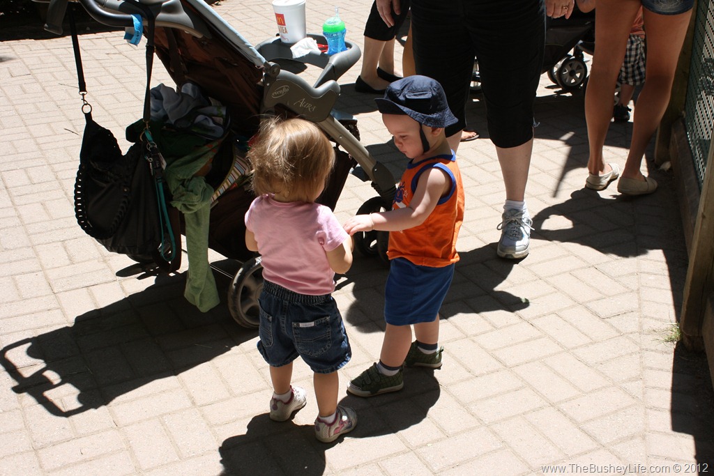 [IMG_0831%255B6%255D.jpg]