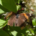 P6080947