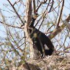 IMG_0935.JPG