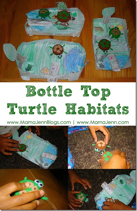 Bottle Top Turtle Habitats