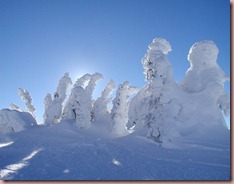 Big-White-snow-ghosts-with-sun-tree-covered-in-snow-2 Big-White-snow-ghosts-with-sun-tree-covered-in-snow-2