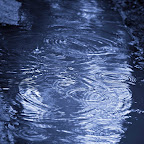 IMG_1494blubbbbbbbbbbbbbbbbbbbbbb.jpg IMG_1494blubbbbbbbbbbbbbbbbbbbbbb.jpg