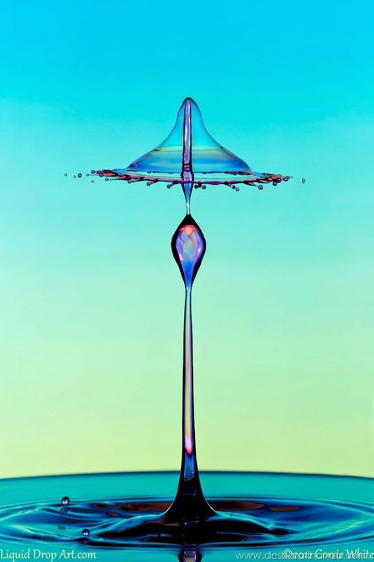 liquid-drop-art-gotas-caindo-foto-velocidade-hora-certa-desbaratinando (82) liquid-drop-art-gotas-caindo-foto-velocidade-hora-certa-desbaratinando (82)