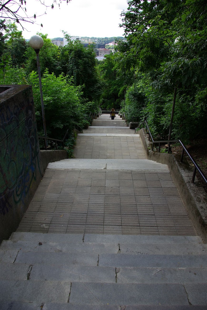 IMGP9078.JPG