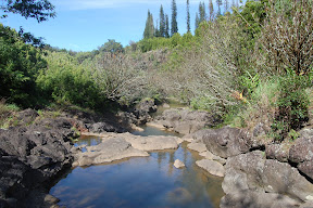 DSC_0735.JPG