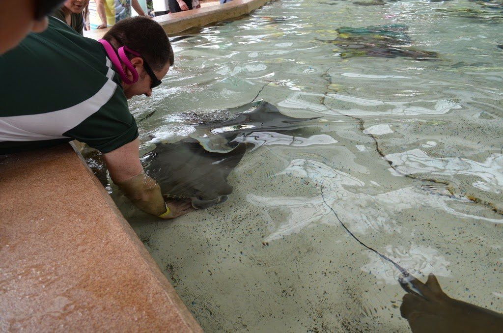 [DSC_8989%255B3%255D.jpg]