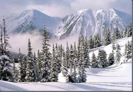 paisaje invernal