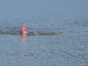 IMG_4056.JPG
