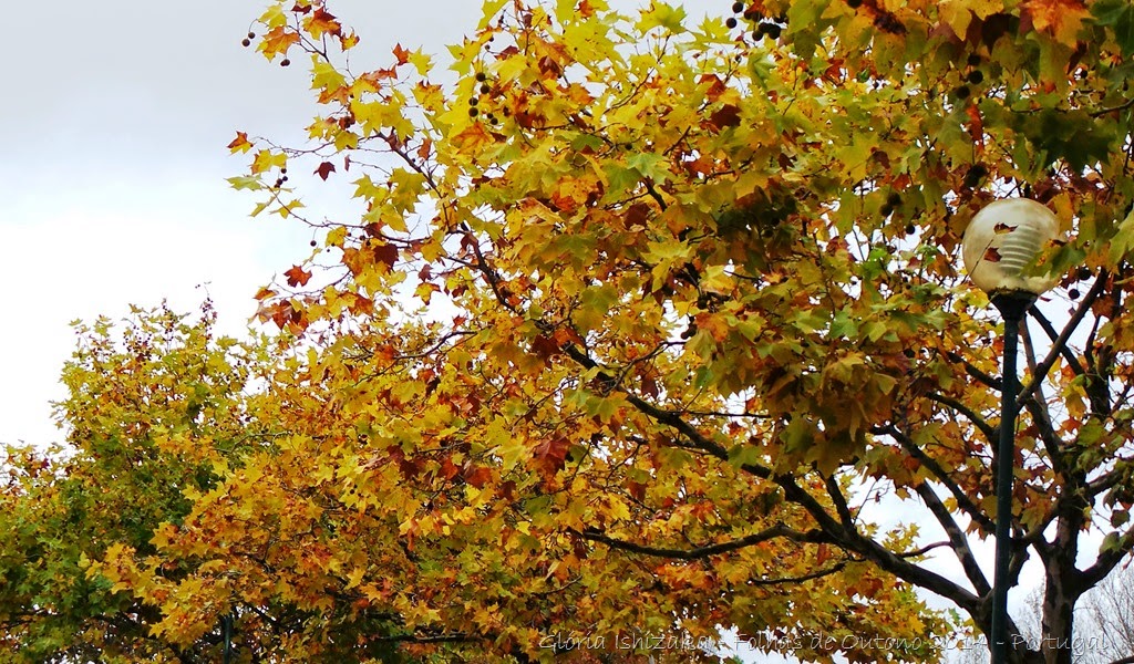 [Mira%2520-%2520Gl%25C3%25B3ria%2520Ishizaka%252013%255B8%255D.jpg]