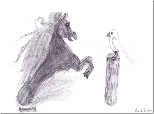 horse-gull